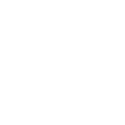 logo bci