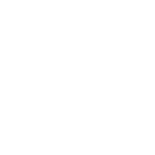logo erm