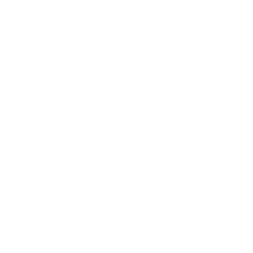 vivandis logo vivandis logo